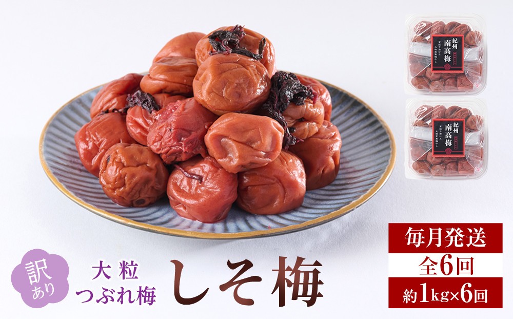
            訳あり 梅干し 大粒 大玉 つぶれ梅 しそ梅 約1kg (500g×2)  × 6回 塩分10% [ 定期便 毎月発送・全6回 ]
          