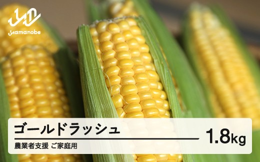 《先行予約》2026年 山形県産 農業者支援 ご家庭用 ゴールドラッシュ 1.8kg とうもろこし トウモロコシ コーン 夏 野菜 やさい ※沖縄・離島への配送不可 送料無料  ot-cngwx1800
