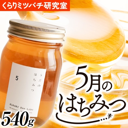 5月のはちみつ 540g KURARI くらりミツバチ研究室《90日以内に出荷予定(土日祝除く)》和歌山県 紀の川市 蜂蜜 ハチミツ 非加熱 純正生はちみつ トースト ヨーグルト---wsk_krrmhoney_90d_22_12000_1d---