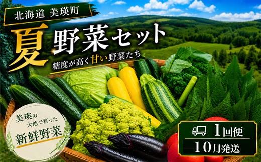 
                  【令和8年産】旬の野菜7～9種の詰め合わせセット 10月発送 美景農園｜季節野菜 野菜 詰め合わせ セット 人気 おすすめ ベジタブル 料理 北海道 北海道美瑛 北海道美瑛町 美瑛町 [017-80]
                