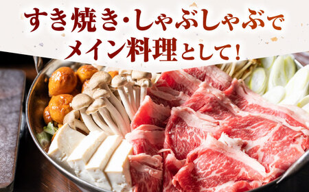【全国有数のブランド牛】佐賀牛ローススライス 1kg（500ｇ×2パック）【がばいフーズ】[HCS002]