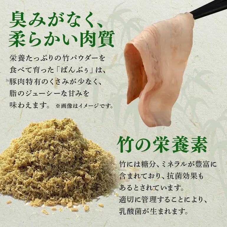 【定期便2ヶ月】ブランド豚「ばんぶぅ」豚バラブロック1kg 42-BP