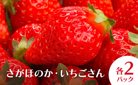 いちご食べ比べ さがほのか いちごさん いちご食べ比べ【各2パック】