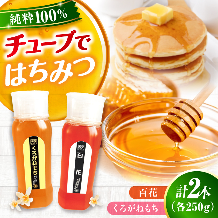 手軽に簡単チューブはちみつ（百花・くろがねもち）各250g 計2本セット 蜂蜜 ハチミツ お取り寄せ グルメ 三次市/重森養蜂場 [APBO011]