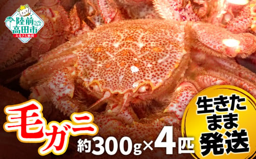 毛ガニ　約300g  4匹（尾）