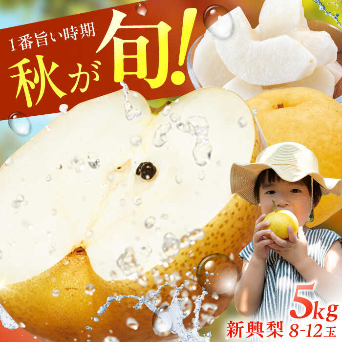 【ふるさと納税】【★先行予約★ 2026年10月上旬より発送】梨（新興）約5kg 広川町 / JAふくおか八女農産物直売所どろや[AFAB059]