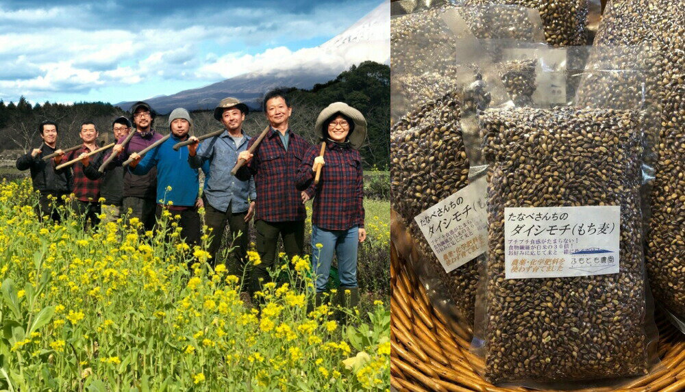 【ふるさと納税】富士山麓オーガニックファーマーズ 旬の野菜 ＋ もち麦 ダイシモチ 1kg×1袋 セット　送料無料 静岡県 富士宮市