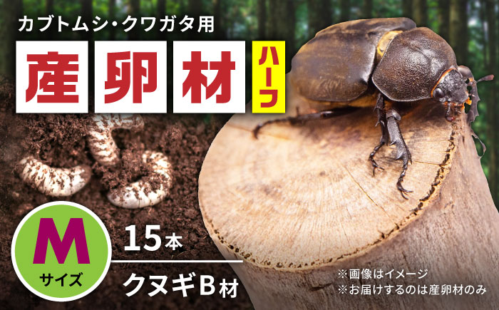 オリジナル産卵材 Mサイズ ハーフ カブトムシ クワガタ クヌギB材 【ふるさと昆虫】 [YDV016]