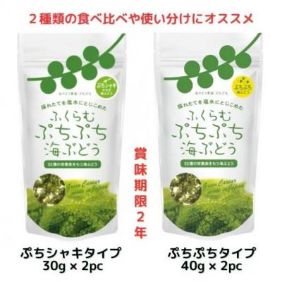 ふるさと納税 糸満市 ふくらむぷちぷち 海ぶどう 塩水タイプ 140g 2種 各2パック お試しセット 食べ比べ