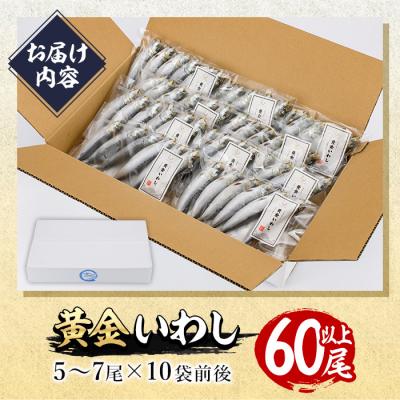 ふるさと納税 佐伯市 <訳あり>黄金いわし (60尾以上) |  | 01