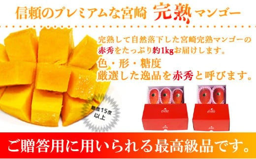 宮崎県産完熟マンゴー[赤秀] 合計約1kg（2～3玉）