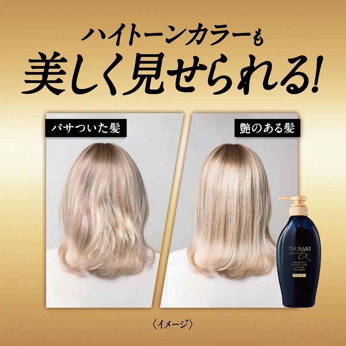 TSUBAKI 定期便 毎月 600mL 各2個 シャンプー コンディショナー