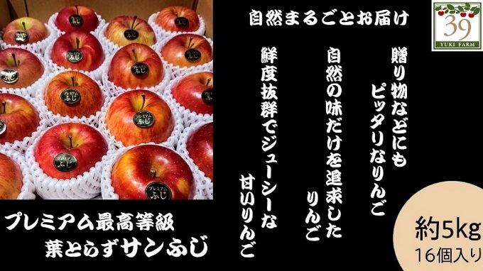 りんご 【 数量限定 】1～3月発送 糖度13度以上 「特選」プレミアム葉とらずサンふじ 約 5kg 16～18個【 弘前市産 青森りんご 】