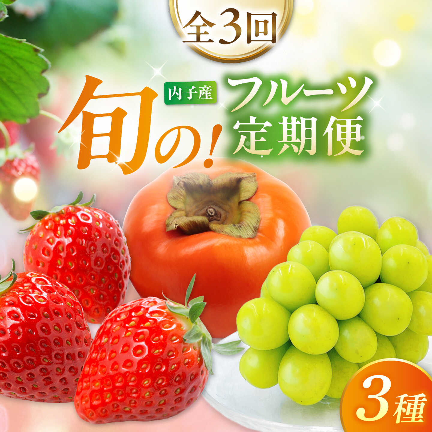 【先行予約】【ふるさと納税】【3回定期便】ぶどう・柿・いちご 旬のフルーツ定期便【北海道・沖縄配送不可】 ／かき カキ ブドウ 葡萄 いちご 苺 イチゴ 果物 フルーツ 国産 産地直送【株式会社フジ・アグリフーズ】[BKAY034]