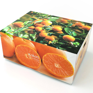【 11月中に発送予定 】 温州みかん 「 早生 」＜ 秀品 ＞ 約3kg 【 ギフトBOX 入り 】【KK3031】