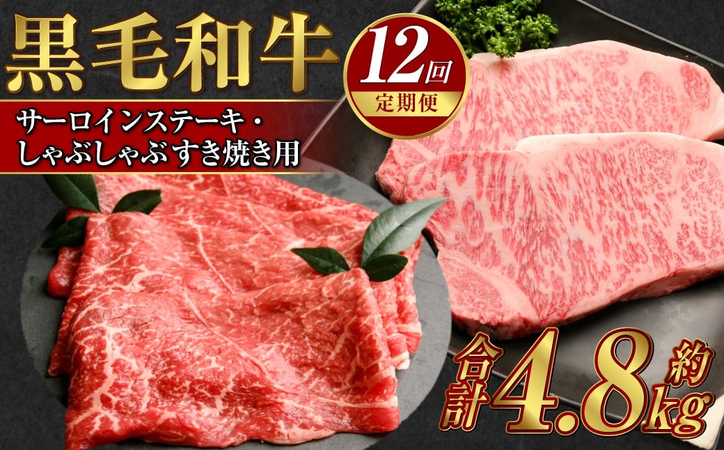 
            【定期便12か月】岡山 黒毛和牛 美星牛 A4等級以上 牛脂付き 12か月定期便 合計約4800g 生産者直送便 美星町 美星牧場 定期便【黒毛和牛 肉 牛 岡山県 倉敷市 おすすめ 人気】
          