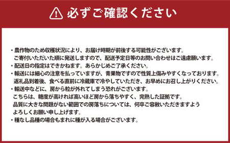 シャインマスカット 1房 計700g 【2025年9月下旬～10月上旬発送予定】 マスカット ぶどう 葡萄 ブドウ 種なし