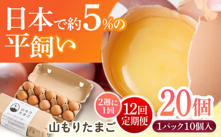 【月2回 12ヶ月定期便】平飼い 山もりたまご 20個 全24回定期便 安心安全 おいしさに感動 【Craft Food Club】平飼い 安心安全 飼料にこだわり 卵 生卵 鶏卵 卵 定期便 隔週