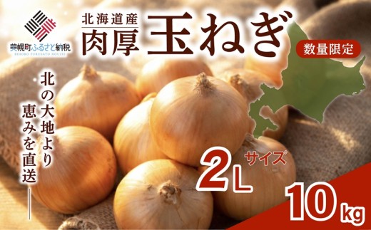 【2026年10月上旬以降発送】 玉ねぎ 2L サイズ 10kg ( 令和8年度産 タマネギ たまねぎ 玉ネギ 玉葱 オニオン スライス サラダ 野菜 スープ 肉じゃが 煮物 ハンバーグ すりおろし 甘い カレー BBQ バーベキュー 新鮮 旬 国産 訳あり 北海道 美幌町 先行予約 送料無料 数量限定 フライ 天ぷら ラーメン 寿司 餃子 ピザ 現地直送 )