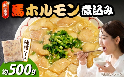 純国産馬 馬ホルモン煮込み 約500g / 馬肉 ホルモン 煮込み うまにこみ 純国産 馬ホルモン 惣菜 おつまみ おかず 味噌 みそ 冷凍 合志市 熊本県 九州 【株式会社古閑ファーム】[AYDK015]
