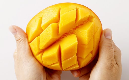 ＜宮崎県産完熟マンゴー 4L×2玉（約1kg）＞