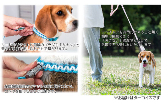 No.460-03 犬の首輪＆リードセット さんぽ用 ポンダープラス ターコイズ L ／ ペット用品 犬用品 ペットグッズ 散歩グッズ ワンタッチ 着脱簡単 ロック付き 高耐久 おしゃれ 丈夫 カラフ