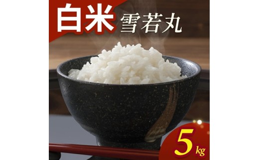 令和7年産【白米】雪若丸　5kg(5kg×1袋) YA SA2842