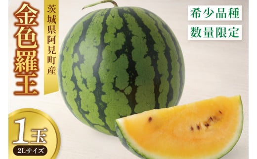 【6月中旬から7月中旬の発送】すいか 金色羅皇 2Ｌ玉1個【ミネラル豊富 甘い 新品種 水分補給 おやつ】(84-02)