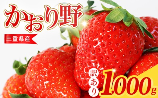 【先行予約】 いちご 1kg かおり野 訳あり 苺 イチゴ ストロベリー サイズ不揃い フルーツ 果物 スムージー ヨーグルト 三重県産 ichigo strawberry 三重県 10000円 一万円 10000円以下 一万円以下