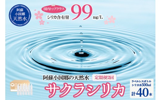 【桜屋】2回 定期便 シリカ天然水「サクラシリカ」500ml 40本 計80本 定期便 シリカ含有量99mg/L シリカ水 ラベルレス 水 ミネラルウォーター 飲料水 飲料 ペットボトル ナチュラルウォーター サルフェート 炭酸水素イオン ミネラル 国産 阿蘇 小国郷