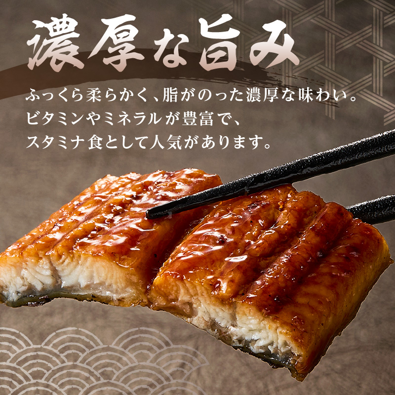 九州産うなぎ蒲焼 2匹（1匹240g以上） 015-C224
