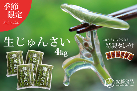 生じゅんさい4kg ゆずタレ6個 《冷蔵》（2026年5月上旬頃～7月下旬までに発送予定） 令和8年産 2026年産 先行受付  秋田県産 三種町産