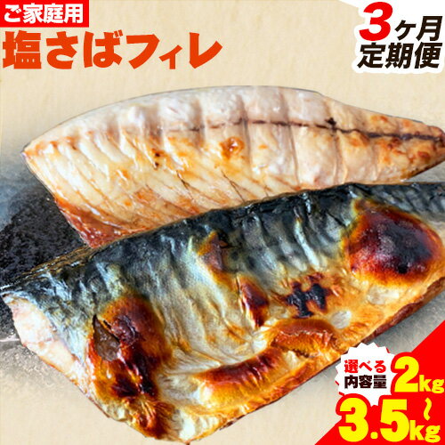【ふるさと納税】【3ヶ月定期便】ご家庭用 塩さばフィレ 選べる 2kg 3.5kg 株式会社魚鶴商店 《お申込み翌月より発送予定(土日祝除く)》 さば 塩サバ 鯖 定期便 計3回
