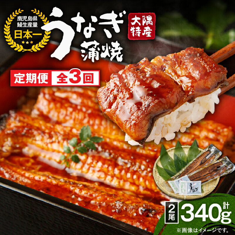 【ふるさと納税】【定期便3回】大隅特産うなぎ蒲焼2尾（340g）×3回 合計6尾 計1.02kg 【国産】たれ付 真空パック 湯煎 レンジ 簡単調理 国産 国産うなぎ 定期 うなぎ蒲焼 小分け 定期便 鹿児島県 鹿屋市【寺園商店】