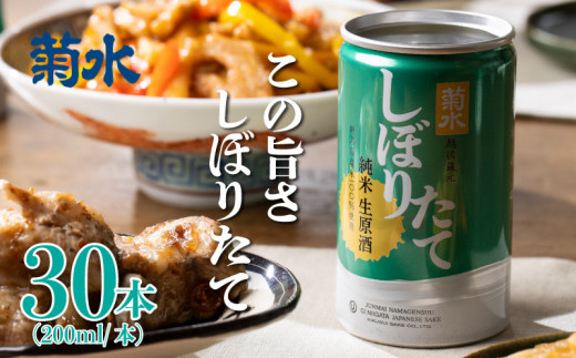 日本酒 菊水 しぼりたて 純米 生原酒 200ml × 30本 酒 おいしい お酒 芳醇 地酒 純米酒 生原酒 缶 ギフト プレゼント アウトドア 酒缶 さけ サケ 新発田市のお酒 新潟県の日本酒 菊水酒造 新潟県 新発田市 kikusui001_01