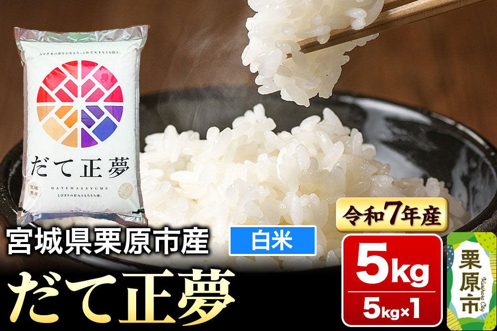 【新米受付】【令和7年産・白米】宮城県栗原市産 だて正夢 5kg (5kg×1袋)