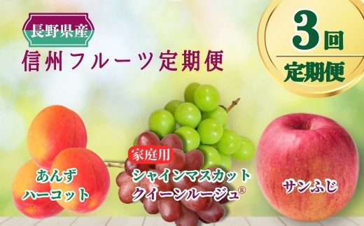 3回定期便：千曲市産 あんずも楽しめる 信州フルーツ定期便（あんず・ぶどう・りんご）| 果物 フルーツ リンゴ 林檎 サンフジ さんふじ 白ぶどう 赤ぶどう 葡萄 ブドウ 生あんず 杏子 アンズ アプリコット 千曲市 長野県 信州