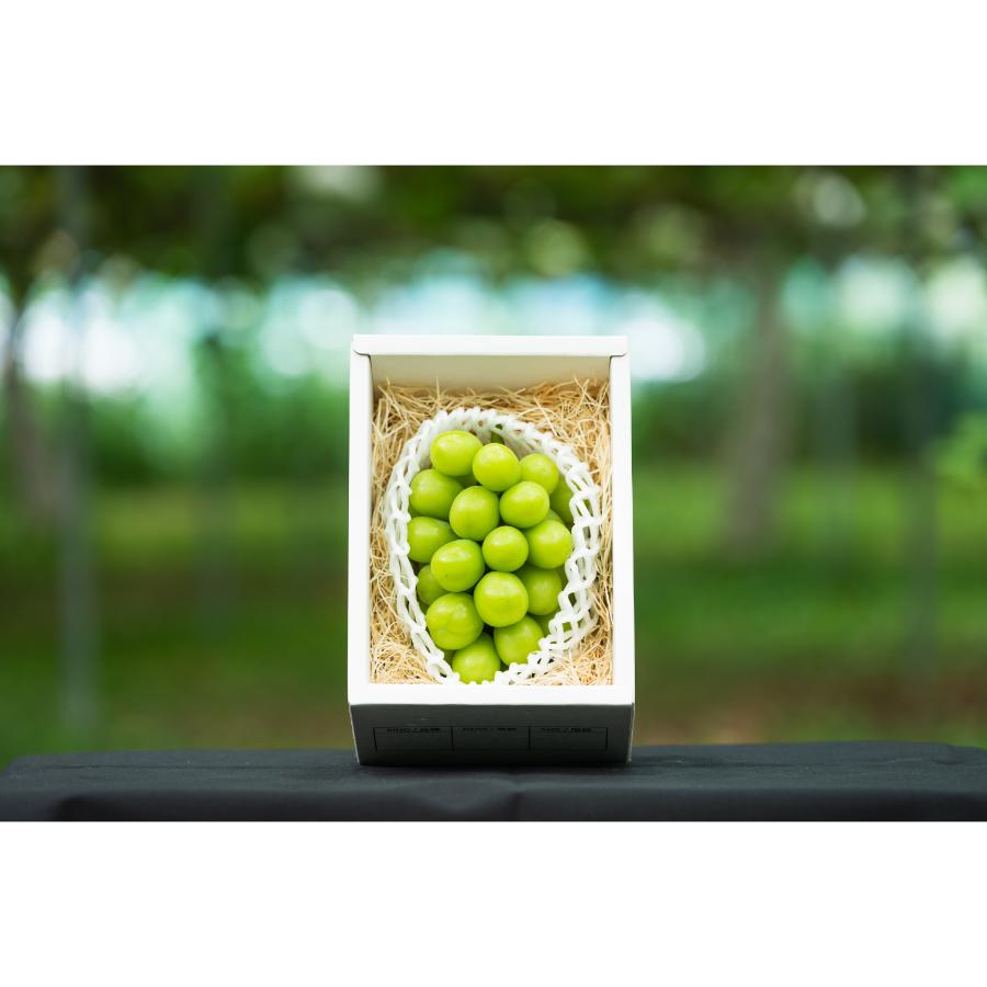 ＜アンスリーファーム＞特秀品Aコース【定期便4回】