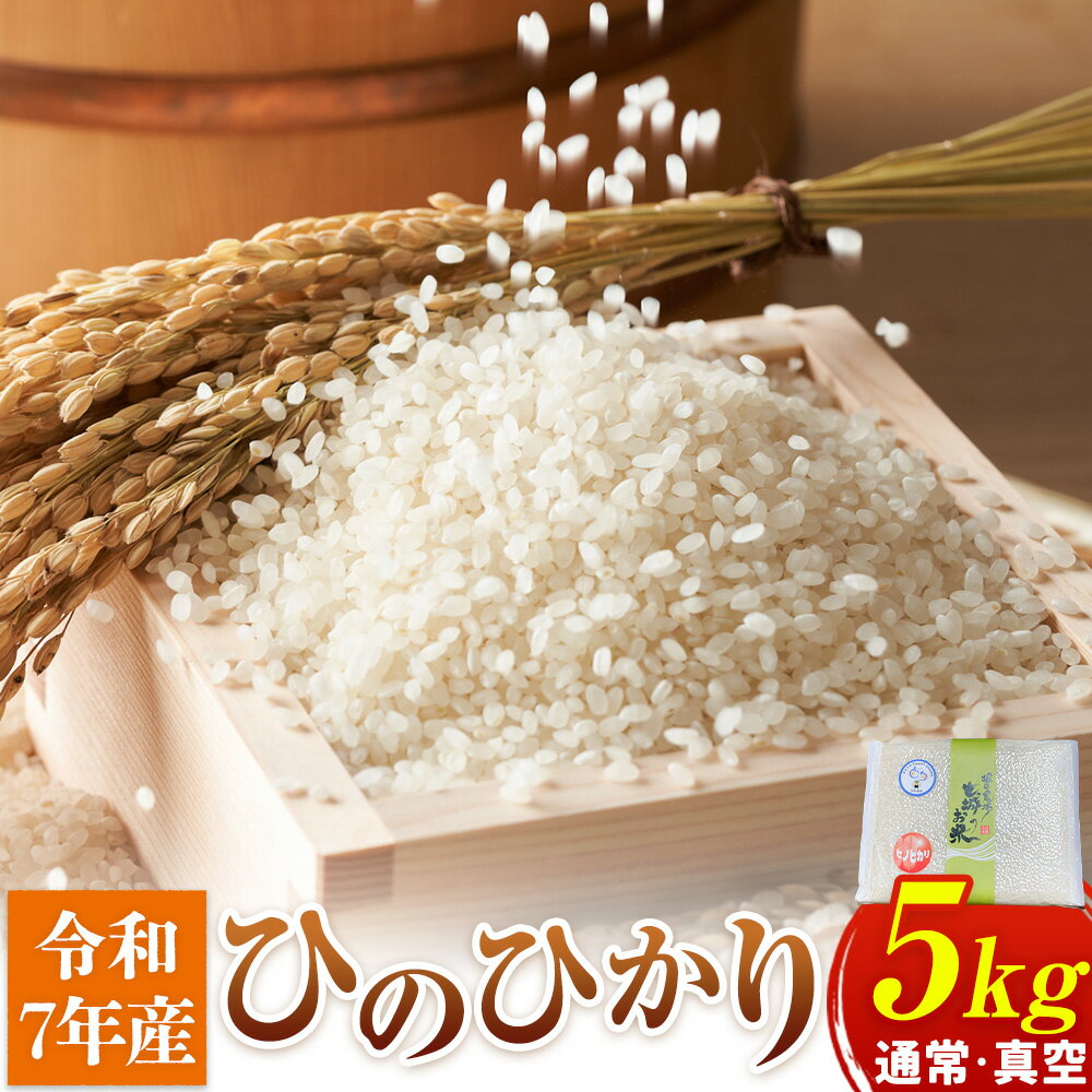 【ふるさと納税】七城のお米 ヒノヒカリ 5kg 通常 真空 白米 精米 令和7年産 堀田農場《30日以内に出荷予定(土日祝除く)》お米 ひのひかり 熊本県 菊池市 熊本県産 九州産 送料無料