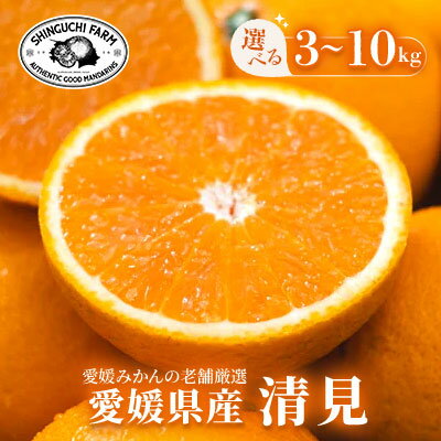 【ふるさと納税】【創業108年】愛媛みかんの老舗【清見】 3kg / 5kg / 10kg_ みかん ミカン 蜜柑 清見 きよみ 果物 くだもの フルーツ デザート おいしい かんきつ 柑橘 柑橘類 国産 愛媛 えひめ 愛媛県 八幡浜市 家庭用 自宅用 産直 産地直送 送料無料 【G1615835】