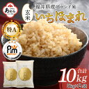 【ふるさと納税】【令和6年産 新米】いちほまれ 玄米 5kg×2袋（計10kg）《新鮮な高品質米をお届け！》／ 福井県産 ブランド米 ご飯