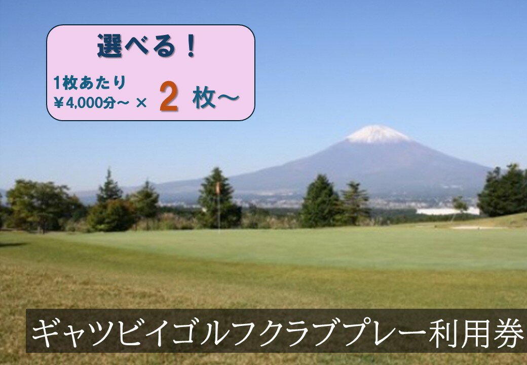 【ふるさと納税】ギャツビイゴルフクラブ プレー利用券 | 計8000円分〜 選べる 利用券 チケット 1枚 4000円×2枚〜 3枚 5枚 ゴルフ ゴルフ場 ゴルフプレー券 ゴルフ利用券 富士山 富士 景観 券 静岡県 小山町 送料無料