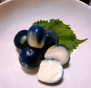 山形夏の漬物うす皮丸なす漬800g（160g×5袋）_E056(R7)-2