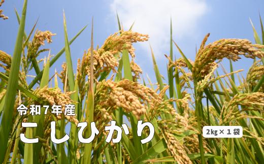 150251【令和7年産】しまね川本 こしひかり 2kg