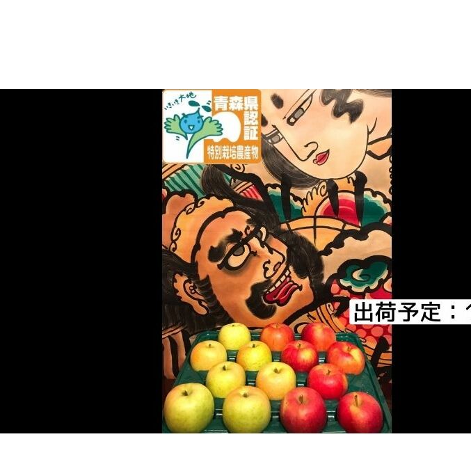 りんご 【 1月発送 】 訳あり 家庭用 葉とらず サンふじ ・ 王林 ミックス 約 5kg 青森県特別栽培農産物認証農園 【 弘前市産 青森りんご 】