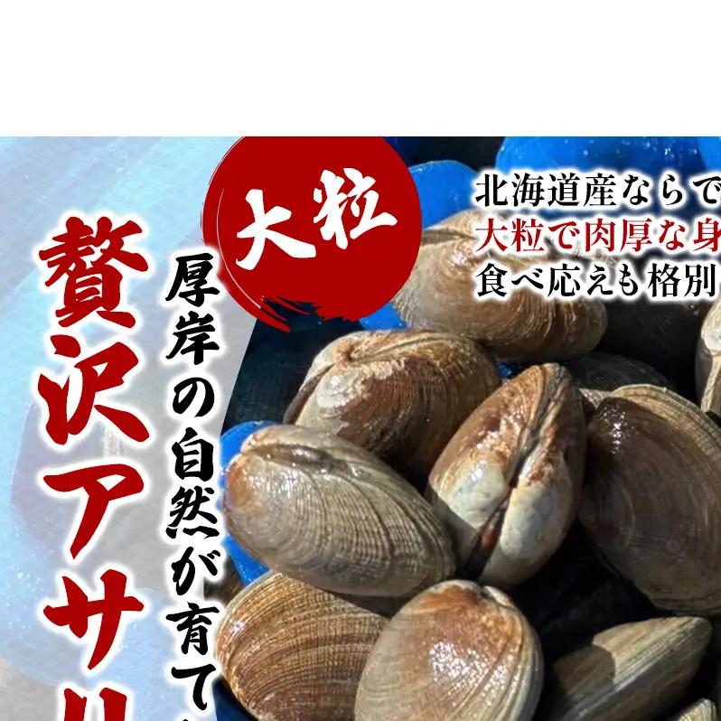 北海道 厚岸産 砂抜き済み あさり 1kg ＆ ブランド牡蠣 マルえもん 殻付き LLサイズ 10個 【光輝】 [ 魚貝類 海鮮 海の幸 みそ汁 酒蒸し アサリバタ 産地直送 生食用牡蠣 生食用 牡蠣