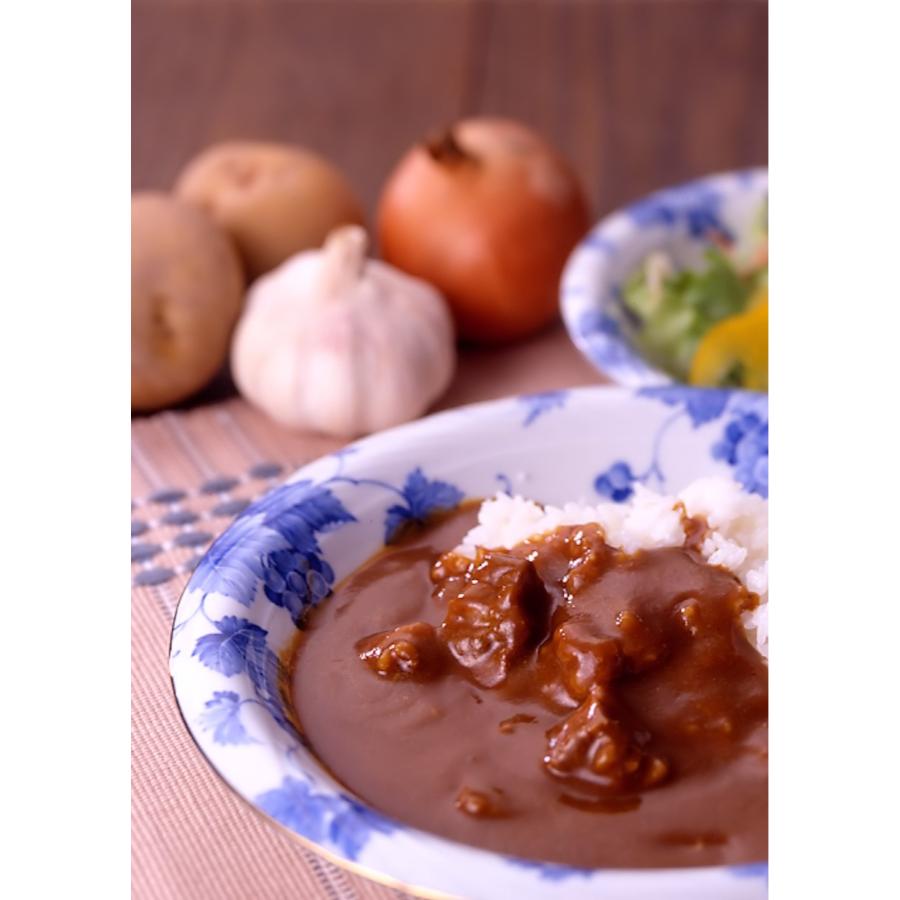 ＜小岩井農場＞厳選素材カレー　10個セット