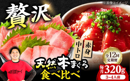【全12回定期便】たね熟天然本まぐろ赤身＆中トロセット(320g 各160g)[AOCE042]まぐろ まぐろ まぐろ まぐろ まぐろ まぐろ