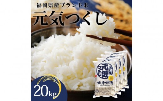 新米！！令和7年産 福岡県産米 元気つくし 合計20kg ( 5kg×4袋 )