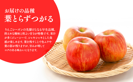【レビューキャンペーン】≪2026年8月下旬頃より発送≫訳あり つがる 約3kg 青森県平川市産[hi-0036-002]